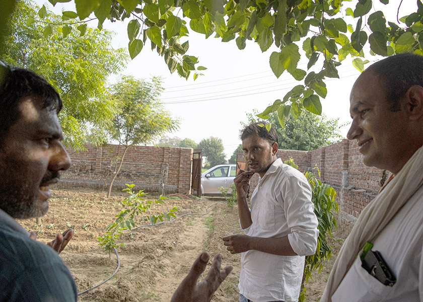 oddafip_amandine%20petroff1